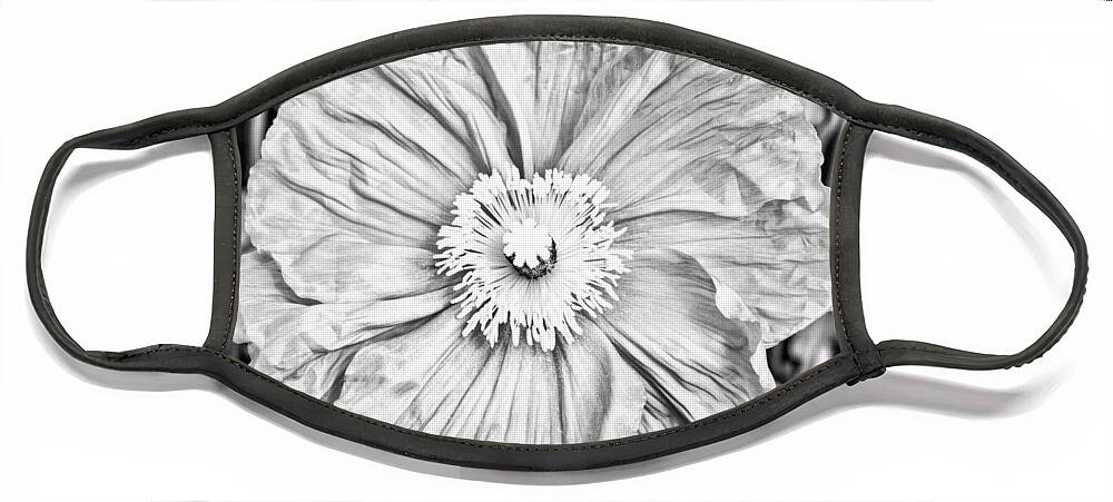 Floral Face Mask featuring the photograph Iceland Poppy In Black And White by Priya Ghose