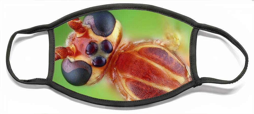 Ichneumon Wasp Face Mask featuring the photograph Ichneumon Wasp by Matthias Lenke
