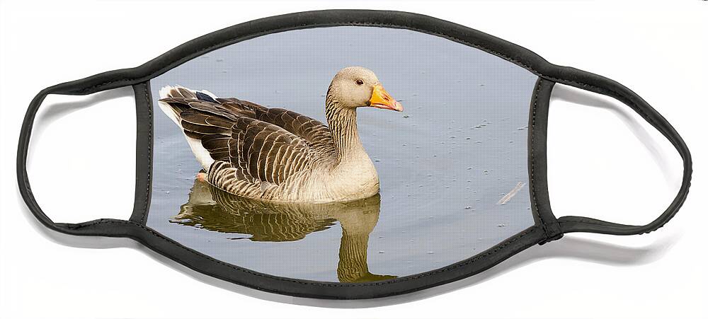 Greylag Face Mask featuring the photograph In Reflection by Spikey Mouse Photography