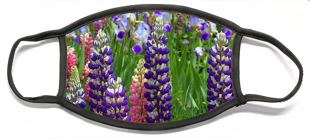 Flowers Photograph; Lupine Canvas Print Face Mask featuring the photograph Below the Evergreen Dam by Jim Garrison