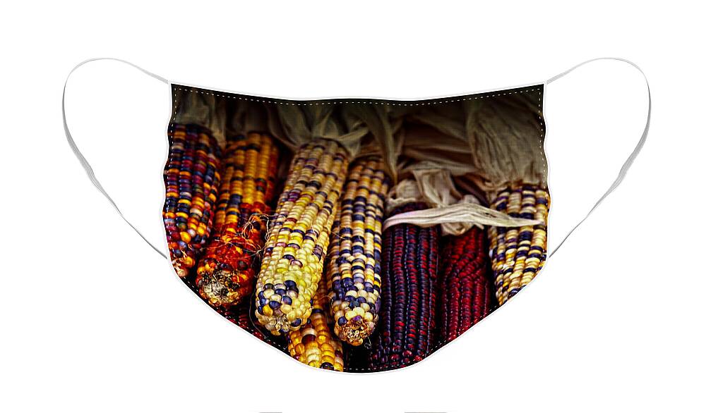 Corn Face Mask featuring the photograph Indian corn by Elena Elisseeva