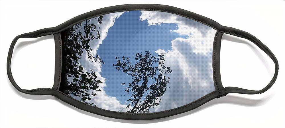 Tree Face Mask featuring the photograph Into the Sky by Aimee L Maher ALM GALLERY
