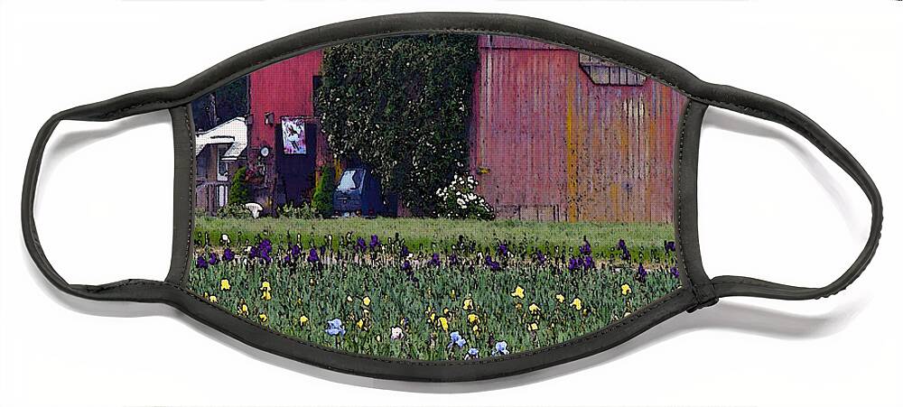 Irises Face Mask featuring the digital art Iris Field and Barn by Gary Olsen-Hasek