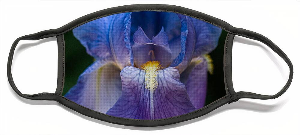 Iris Face Mask featuring the photograph Iris by George Buxbaum