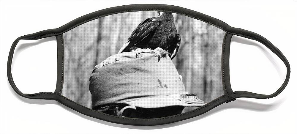 Bird Face Mask featuring the photograph Ivory-billed Woodpecker Nestling by James T. Tanner