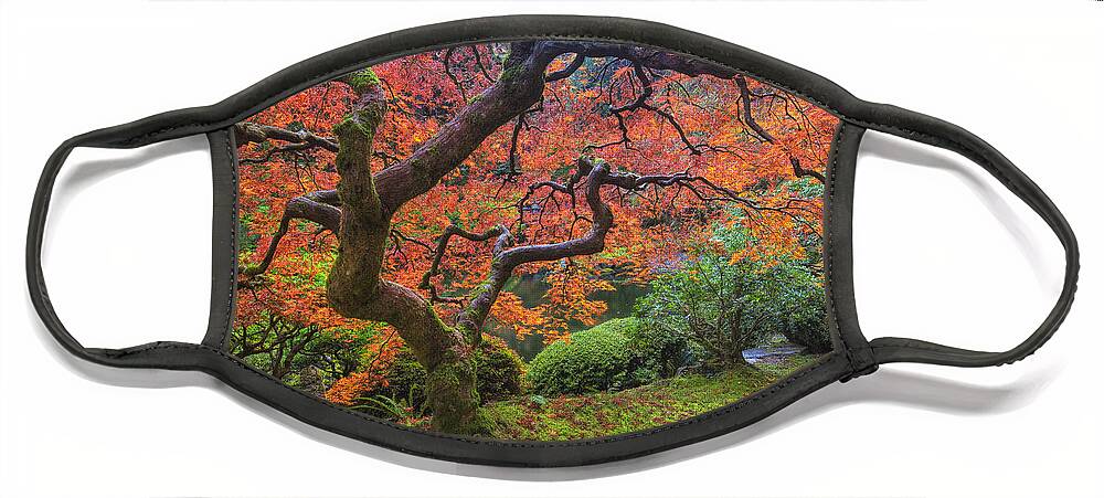 Oregon Face Mask featuring the photograph Japanese Maple Tree by Mark Kiver