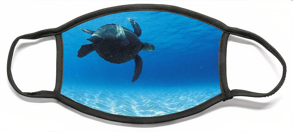 Sea Face Mask featuring the photograph Keiki Turtle by Sean Davey