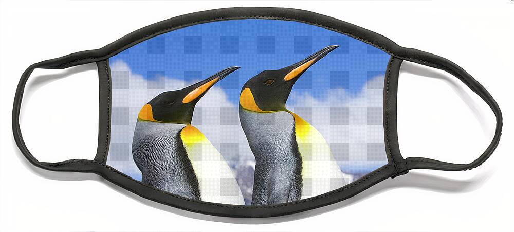 00345339 Face Mask featuring the photograph King Penguin Duo by Yva Momatiuk John Eastcott