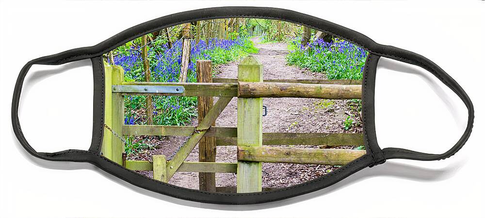 Bluebell Face Mask featuring the photograph Kissing Gate by Roy Pedersen
