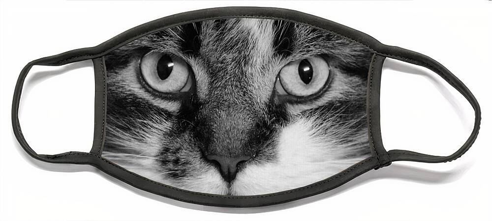 Art Face Mask featuring the photograph Kitty Portrait in Black and White by Joan Han