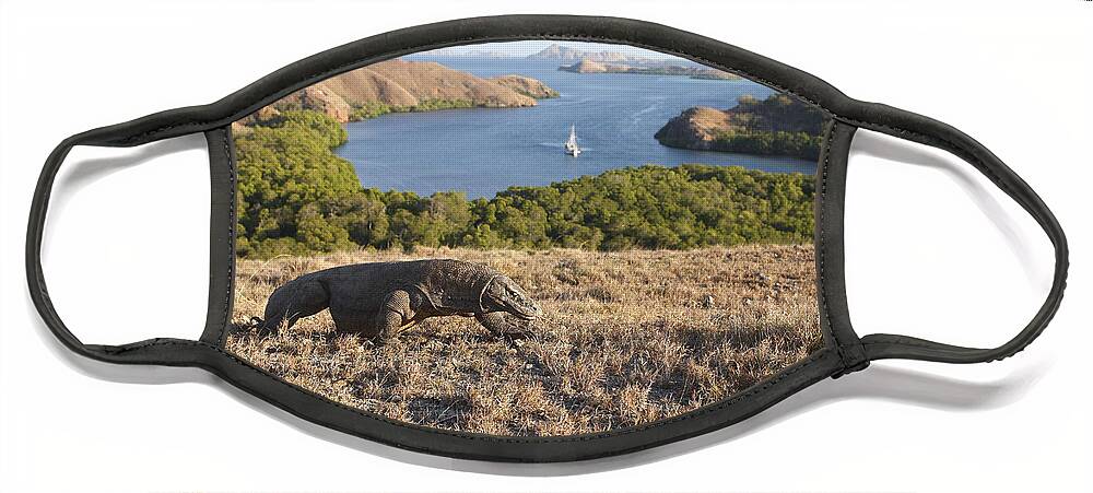 Komodo Dragon Face Mask featuring the photograph Komodo National Park by M. Watson