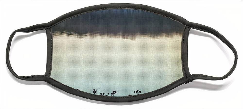 Winter Lake Landscape Face Mask featuring the photograph Lakeside Winter Flowers by Melissa Bittinger