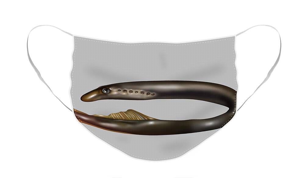 Nature Face Mask featuring the photograph Lamprey Eel, Illustration by Gwen Shockey