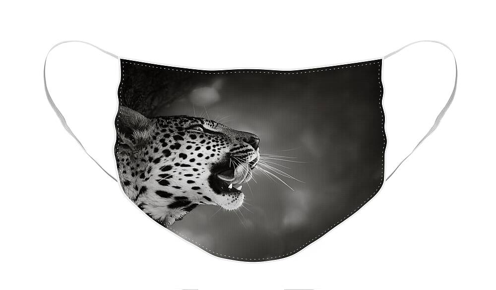 Leopard Face Mask featuring the photograph Leopard portrait by Johan Swanepoel