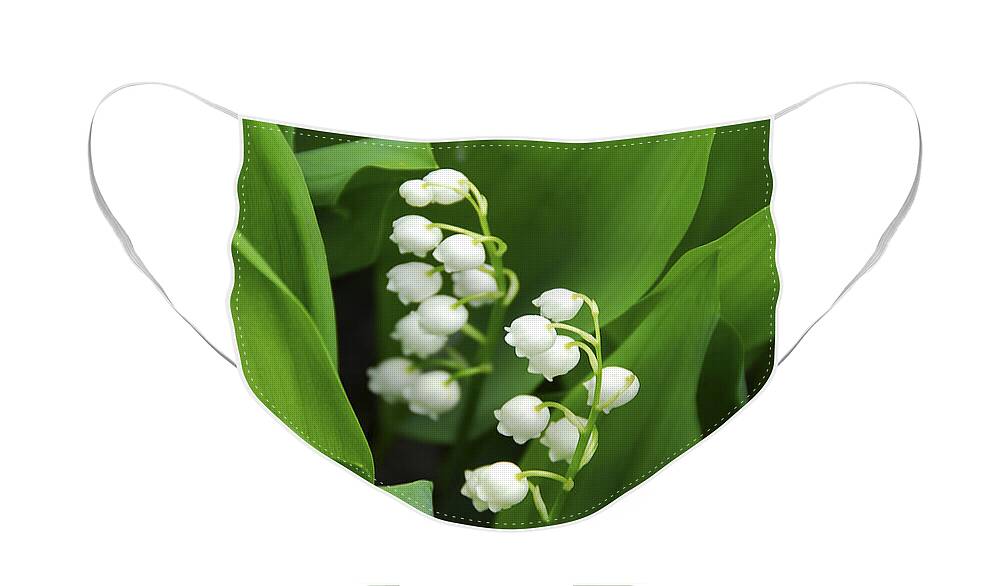 Lily Face Mask featuring the photograph Lily-of-the-valley by Elena Elisseeva