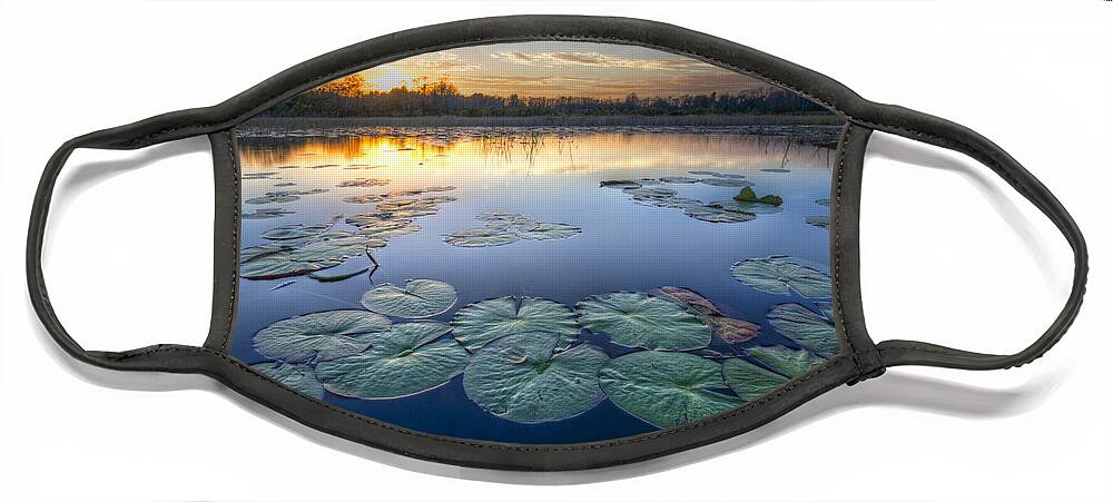 Art Face Mask featuring the photograph Lily Pads in the Glades by Debra and Dave Vanderlaan