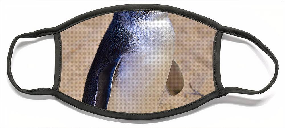 Nature Face Mask featuring the photograph Little Penguin by Louise Heusinkveld