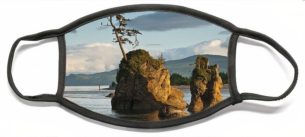 Bay Face Mask featuring the photograph Lone Tree on a Rock at Sunset by Jeff Goulden