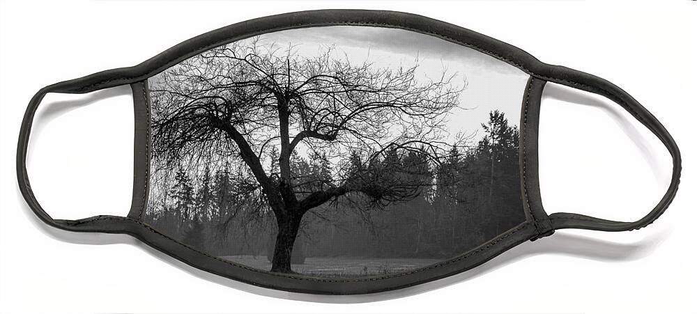 Black And White Face Mask featuring the photograph Lonely Tree by Ron Roberts