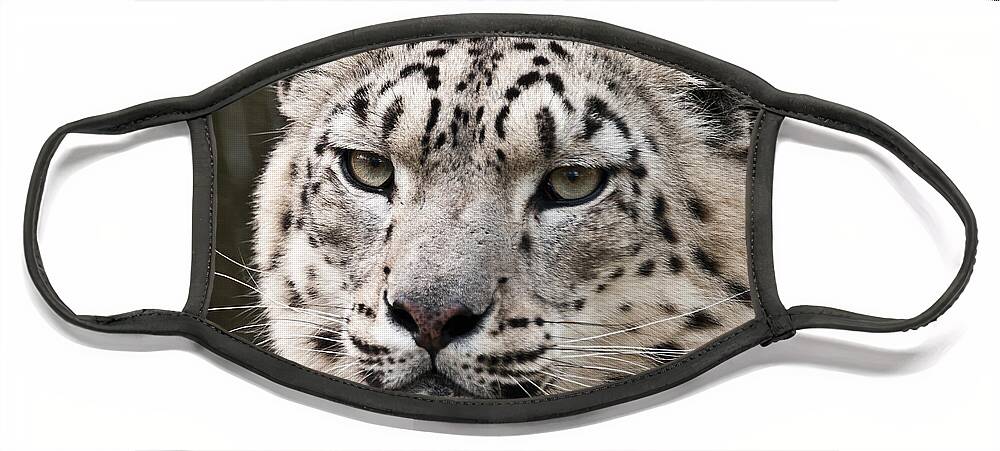 Marwell Face Mask featuring the photograph Look into my leopard eyes by Chris Boulton