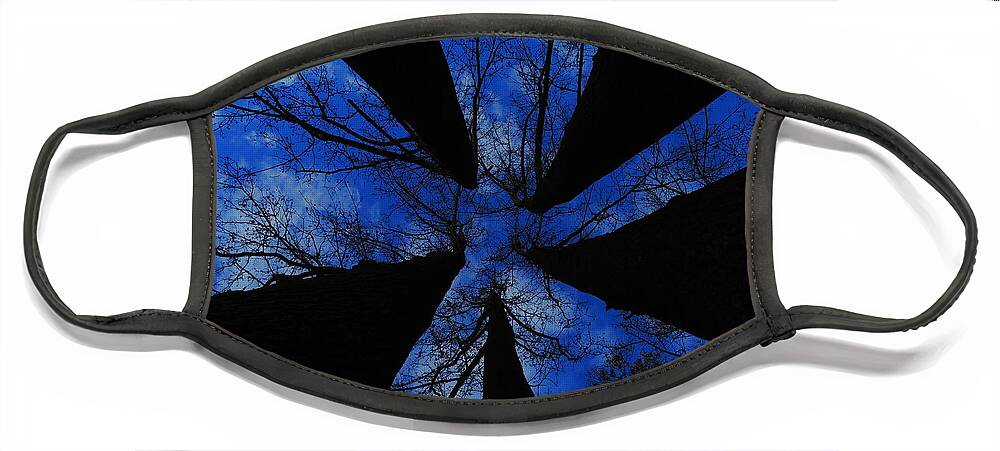 Trees Face Mask featuring the photograph Looking Up by Raymond Salani III