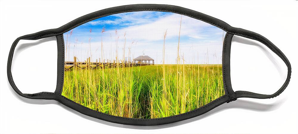Gulf Of Mexico Face Mask featuring the photograph Lost in the Weeds by Raul Rodriguez
