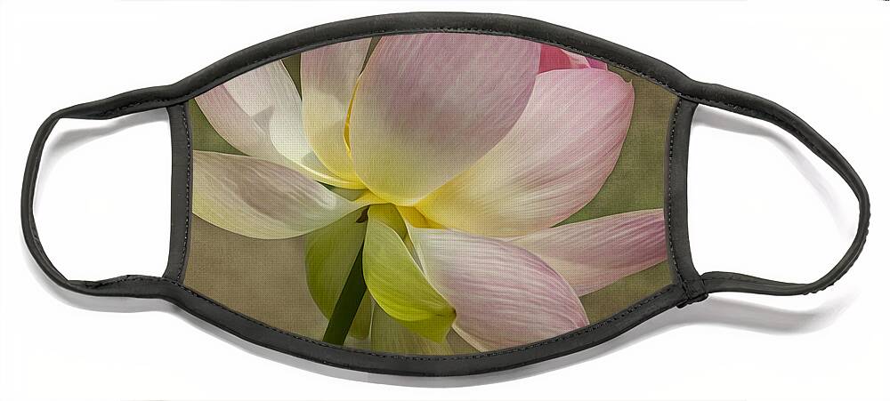 Lotus Face Mask featuring the photograph Lotus by Linda Szabo