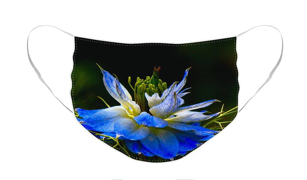 Nigella Damascena Face Mask featuring the photograph Love In A Mist by Carol Montoya