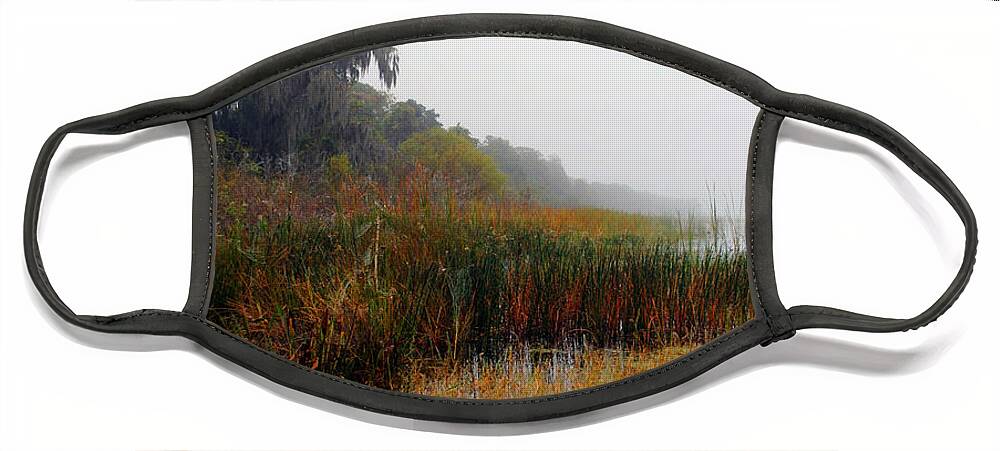 Gardens Face Mask featuring the photograph MacKay Fog by George D Gordon III