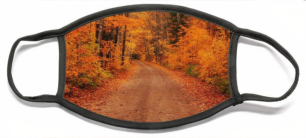 Magical Autumn Mystery Face Mask featuring the photograph Magical Autumn Mystery by Rachel Cohen