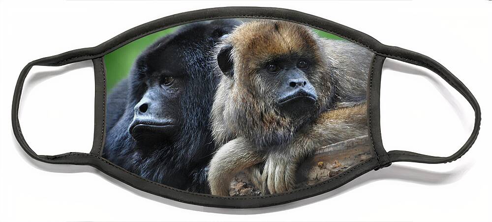 Male Face Mask featuring the photograph Male and Female Howler Monkeys by Savannah Gibbs