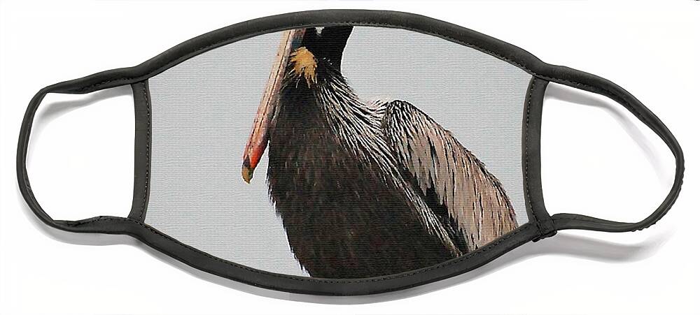 Pelican Face Mask featuring the photograph Male Brown Pelican Perching by Kathy Baccari