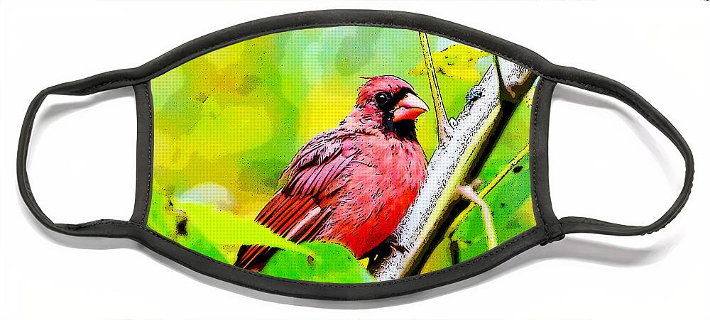 Male Cardinal Face Mask featuring the photograph Male Cardinal - Artsy by Kerri Farley