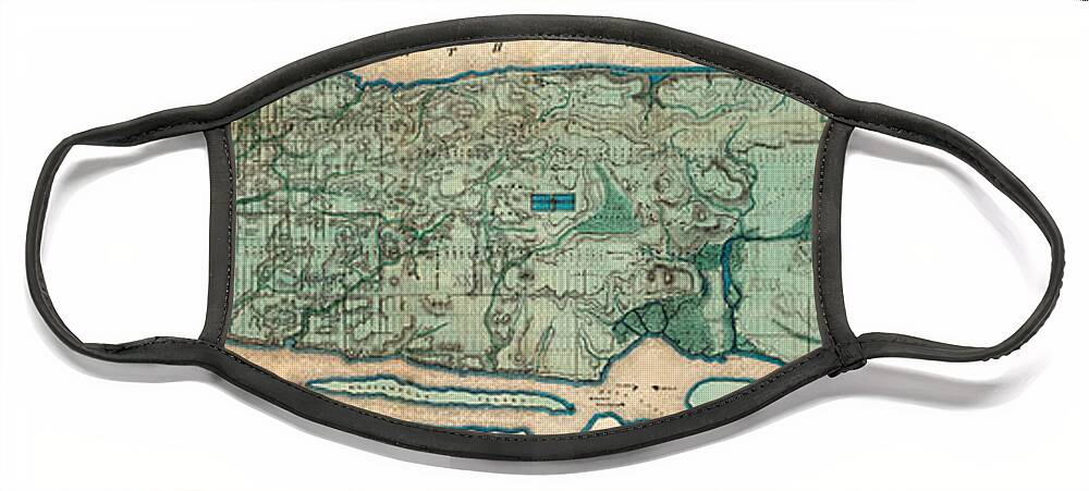 Map Face Mask featuring the painting Map of Manhattan by Egbert Viele