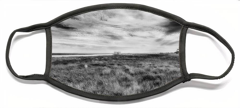 Gulf Of Mexico Face Mask featuring the photograph Marsh Life by Raul Rodriguez