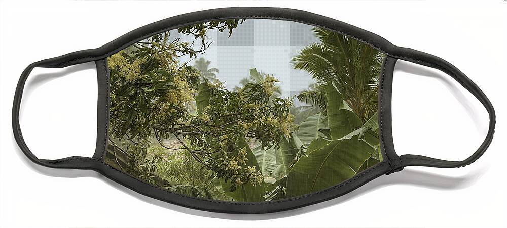 Coco Face Mask featuring the photograph Monsoon Rains in Sri Lanka by Gina Koch