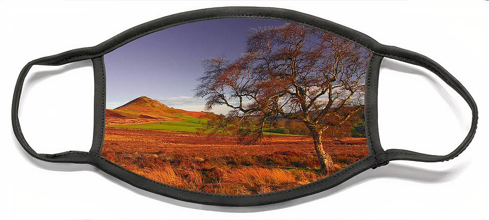 Tree Face Mask featuring the photograph Moorland Tree North Yorkshire by Martyn Arnold