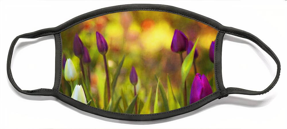 Floral Face Mask featuring the photograph Morning Has Broken by Theresa Tahara