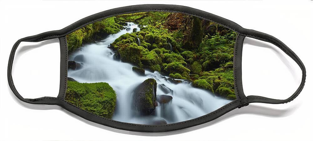 Lush Face Mask featuring the photograph Mossy Creek Cascade by Darren White