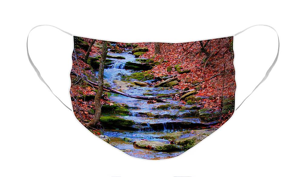 Moss Face Mask featuring the photograph Mossy Creek by Cricket Hackmann