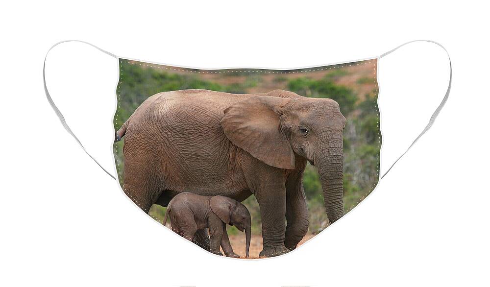 Elephant Face Mask featuring the photograph Mother and Calf by Bruce J Robinson