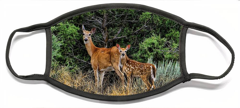 Ron Roberts Photography Face Mask featuring the photograph Mother and Child by Ron Roberts
