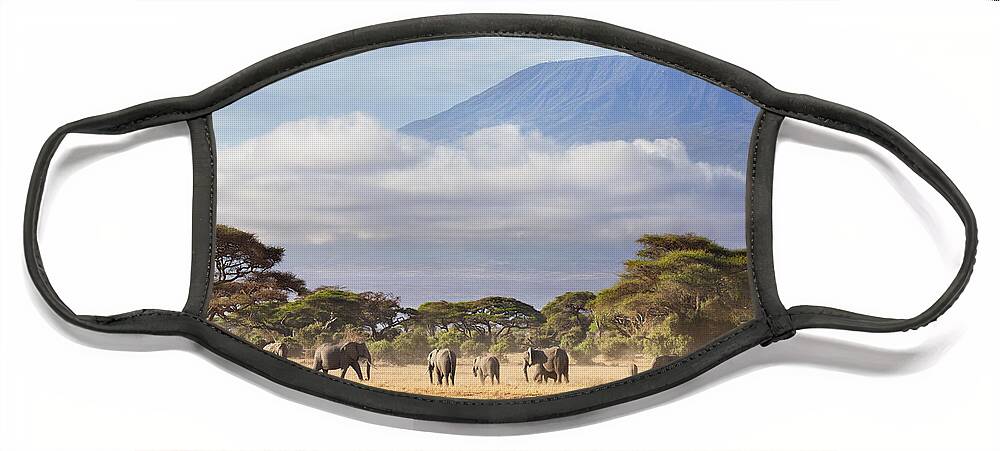 Nis Face Mask featuring the photograph Mount Kilimanjaro Amboseli by Richard Garvey-Williams