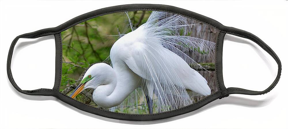 Egret Face Mask featuring the photograph My Beautiful Plumage by Kathy Baccari