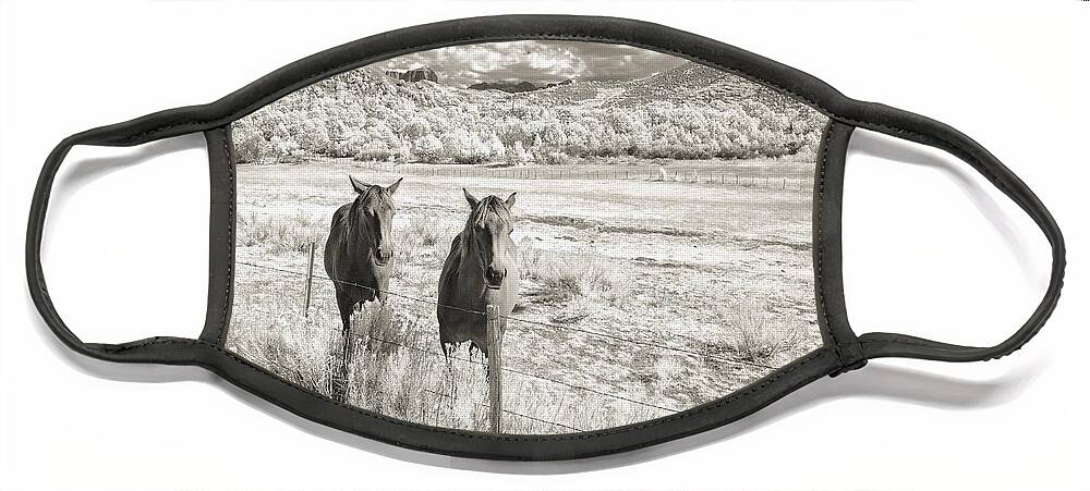 Art Face Mask featuring the photograph My Two Friends by Jon Glaser