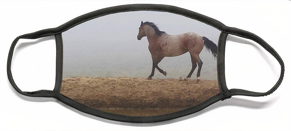 Inspirational Face Mask featuring the photograph Mystical Beauty Inspirational by Amanda Smith