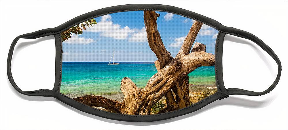 Coastal Face Mask featuring the photograph Natural Framed Sailboat by Melinda Ledsome
