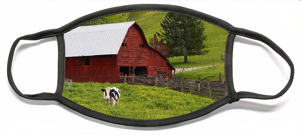 Red Barn Face Mask featuring the photograph New Red Paint by Mike McGlothlen