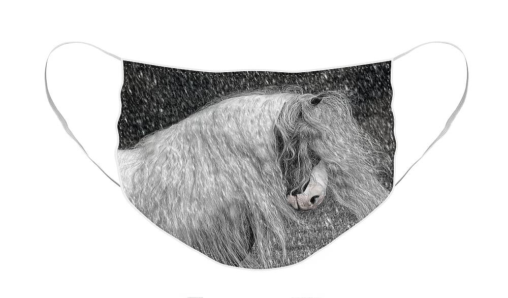 Gypsy Horses Face Mask featuring the digital art Nor easter by Fran J Scott