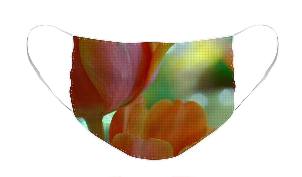 Tulips Face Mask featuring the photograph Nothing As Sweet As Your Tulips by Donna Blackhall